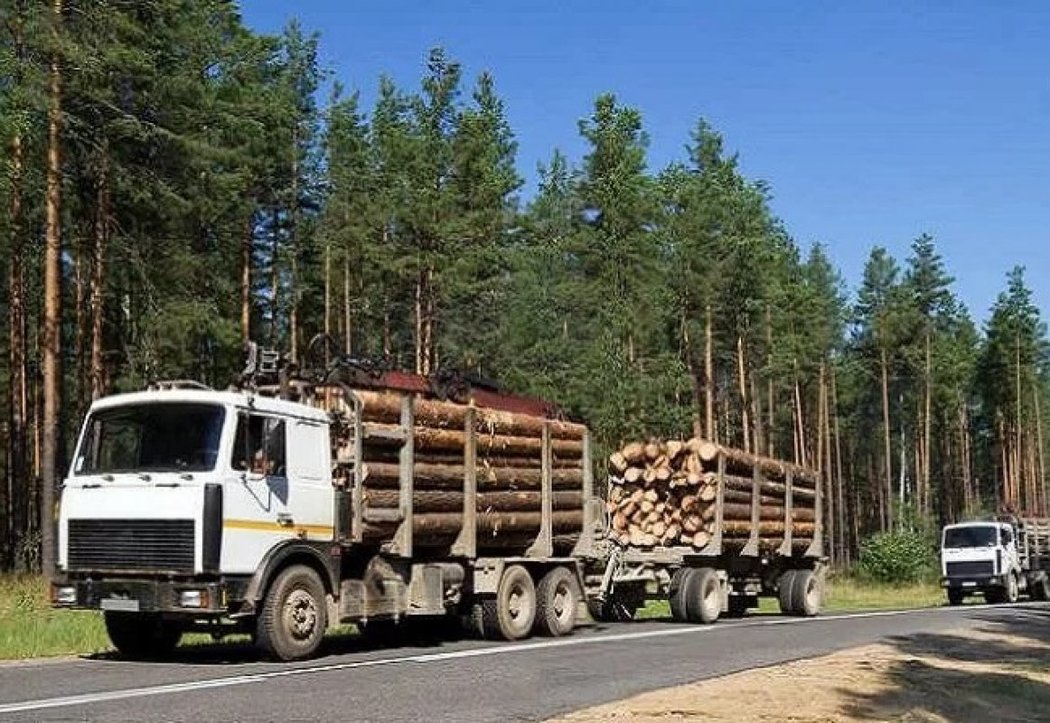 Svoz dřeva v Rusku