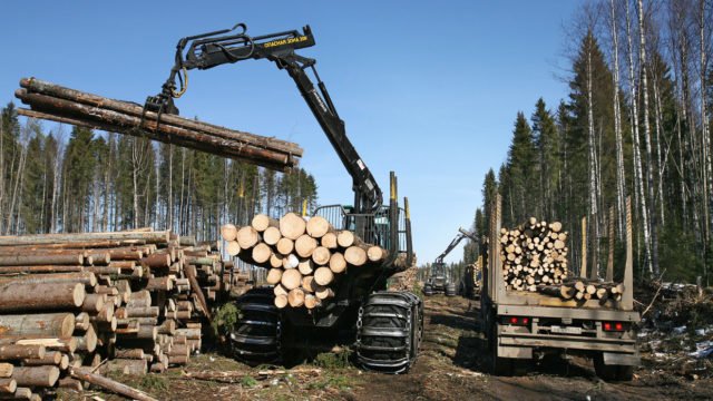 Svoz dřeva v Rusku